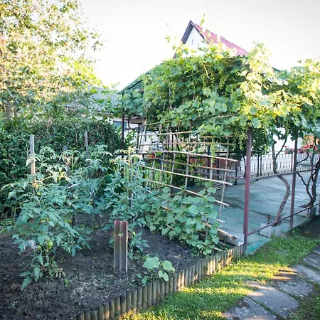 Kovacs Nyaralo 度假居 哈卡尼