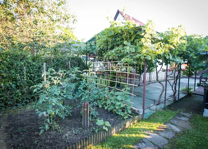 Kovacs Nyaralo 度假居 哈卡尼